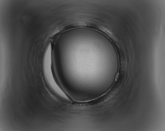 X0000087010489200705071529