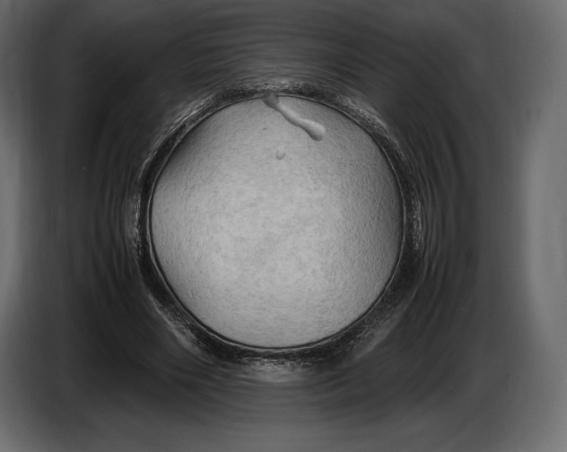 X0000087010490200705071529