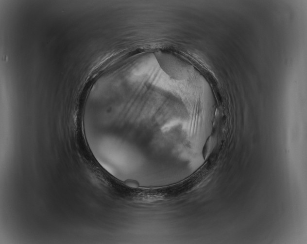 X0000087010491200705071529