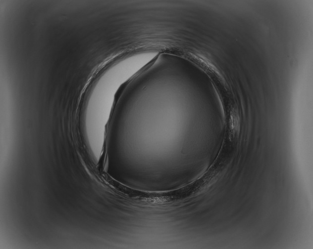 X0000087010492200705071529