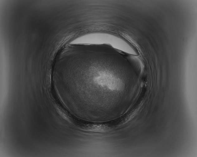 X0000087010493200705071529