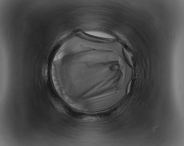 X0000087010494200705071529