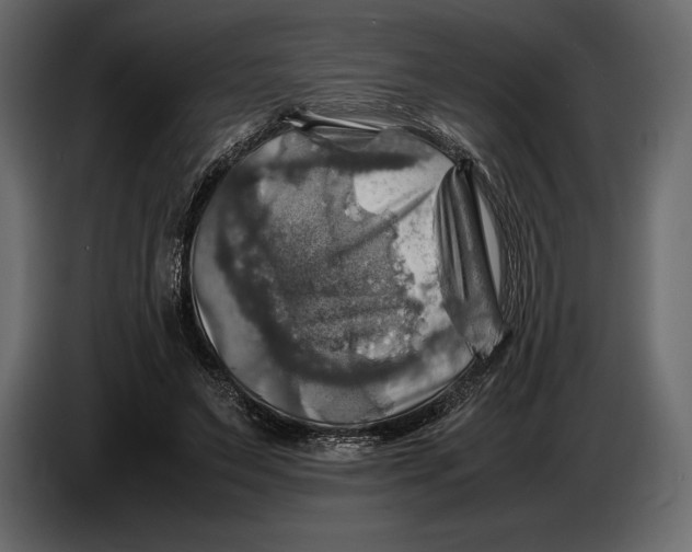 X0000087010495200705071529