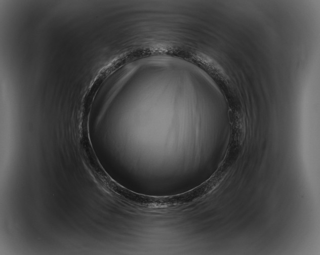 X0000087010496200705071529