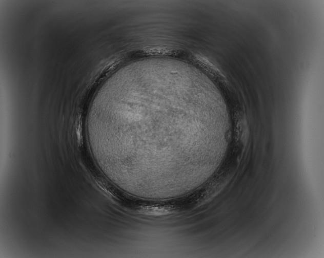 X0000087010498200705071529