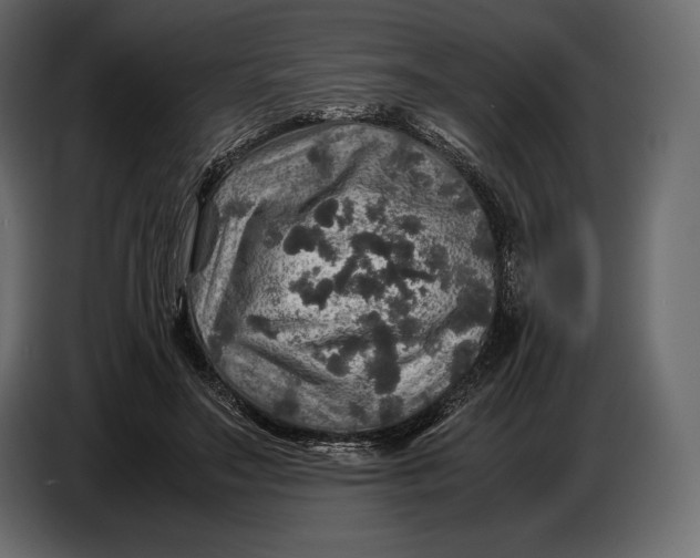 X0000087010499200705071529