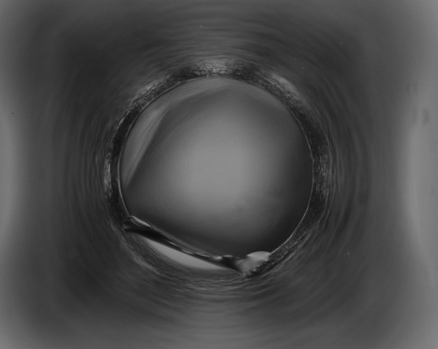 X0000087010500200705071529