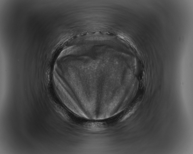 X0000087010501200705071529