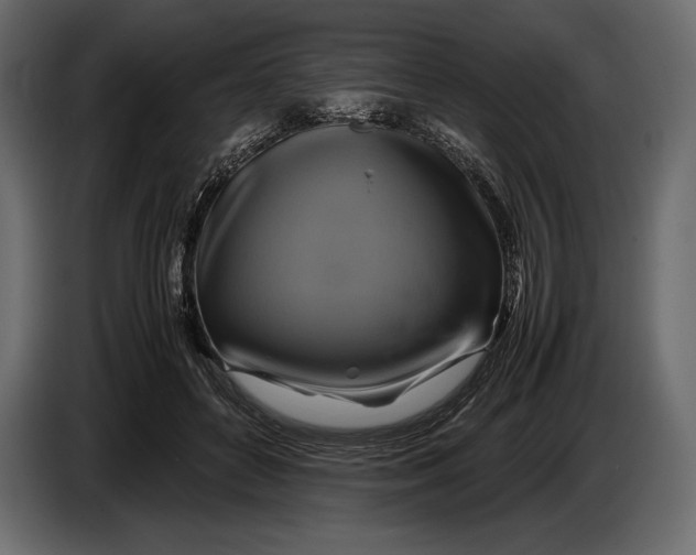 X0000087010504200705071529