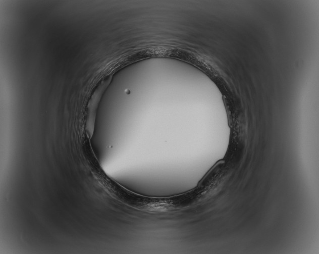 X0000087010505200705071528