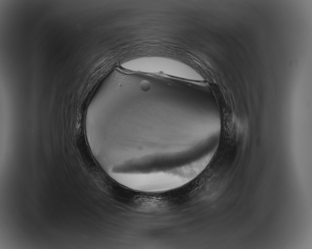 X0000087010507200705071528