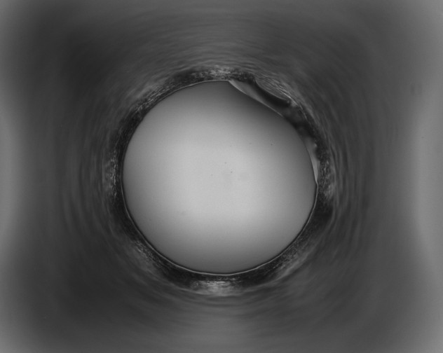 X0000087010509200705071528