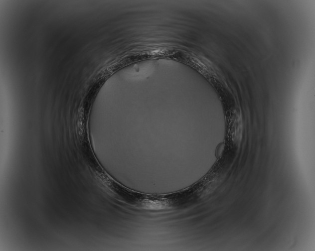 X0000087010510200705071528