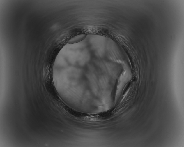 X0000087010511200705071528