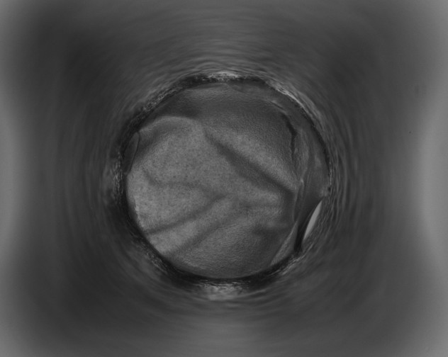 X0000087010513200705071528