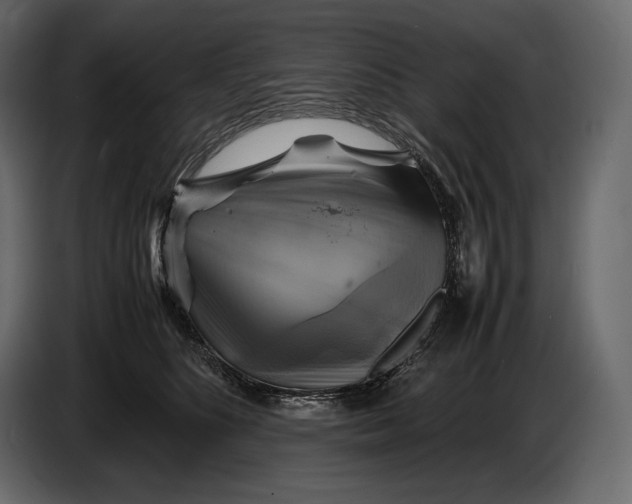 X0000087010516200705071528