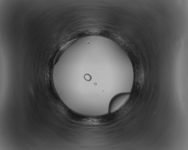 X0000087010518200705071528