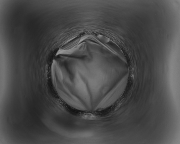 X0000087010519200705071528