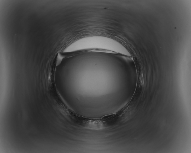 X0000087010520200705071528