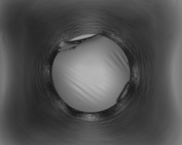 X0000087010522200705071528