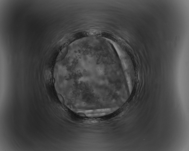 X0000087010523200705071528