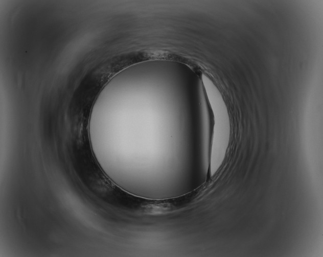 X0000087010525200705071528