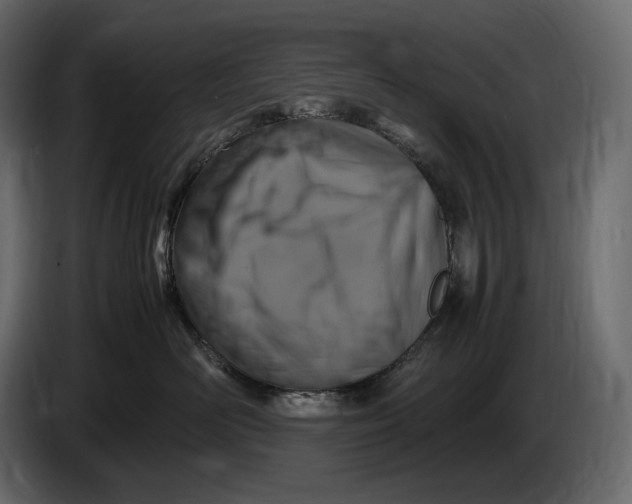 X0000087010526200705071528