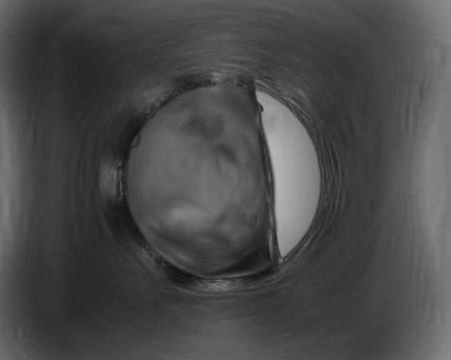 X0000087010527200705071528