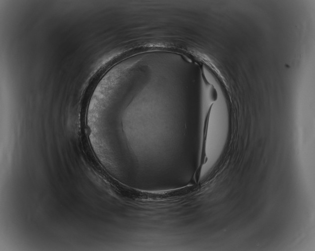 X0000087010531200705071528