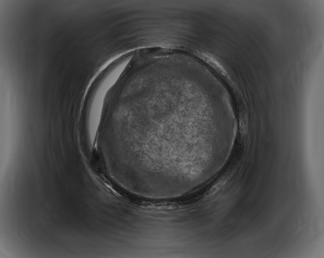 X0000087010532200705071528