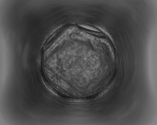 X0000087010533200705071528