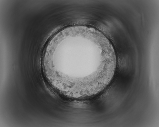 X0000087010534200705071528