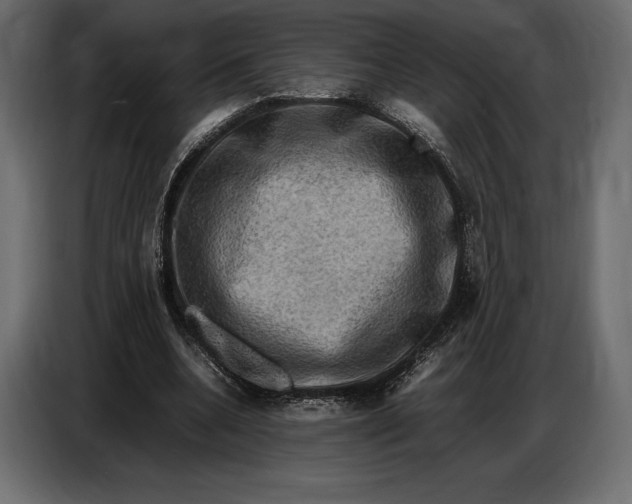 X0000087010536200705071528