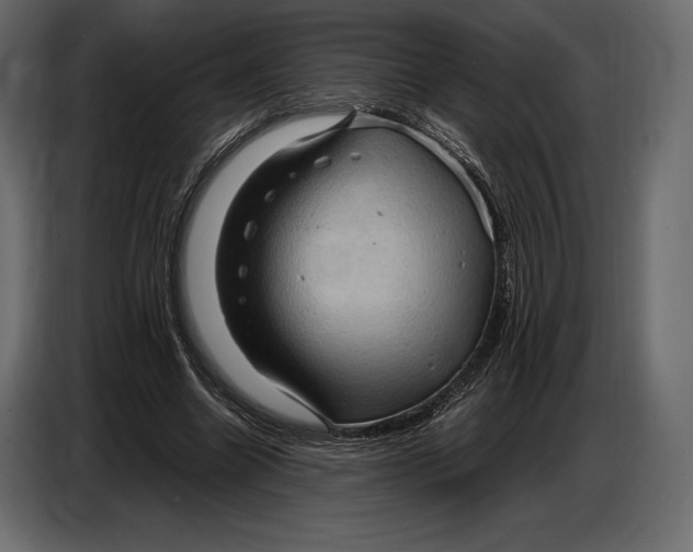 X0000087010538200705071528