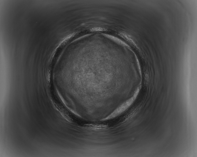 X0000087010539200705071528