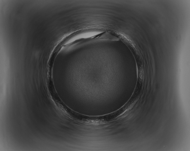 X0000087010540200705071528