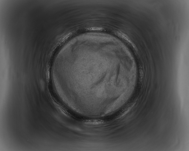 X0000087010541200705071528