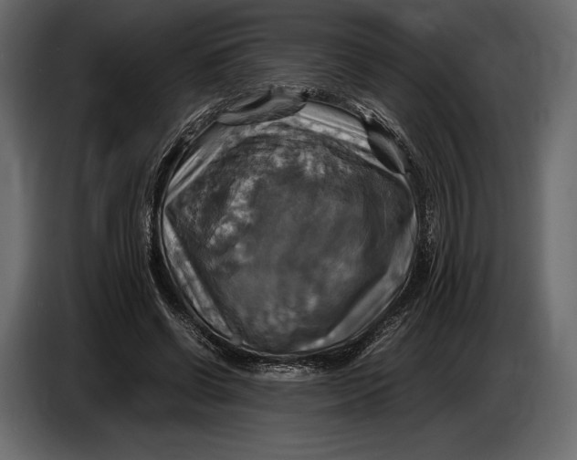 X0000087010542200705071528