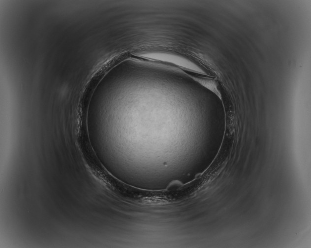 X0000087010544200705071528