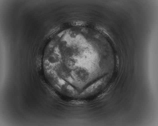 X0000087010545200705071528