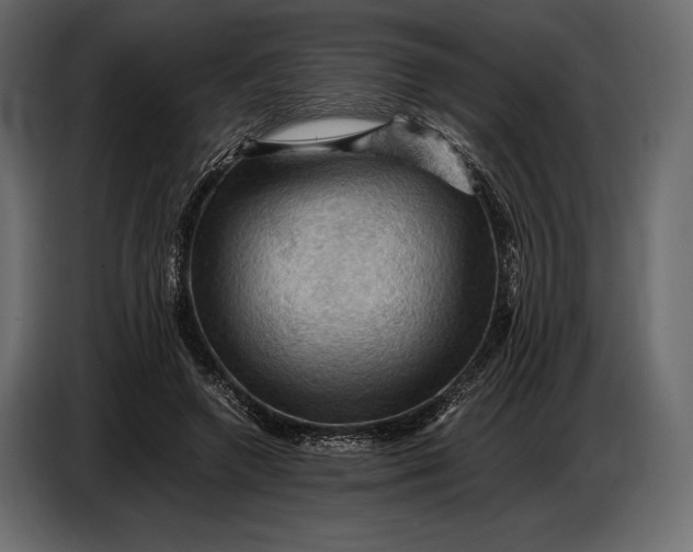 X0000087010546200705071528