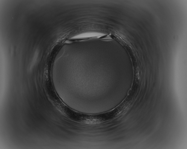 X0000087010547200705071528