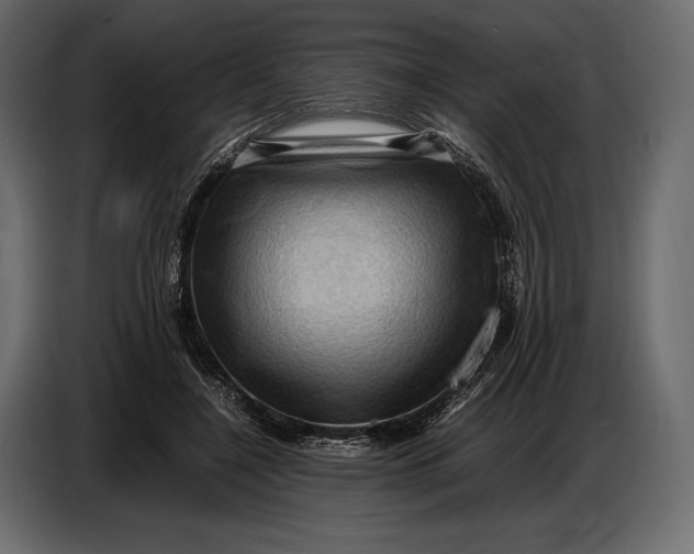 X0000087010548200705071528