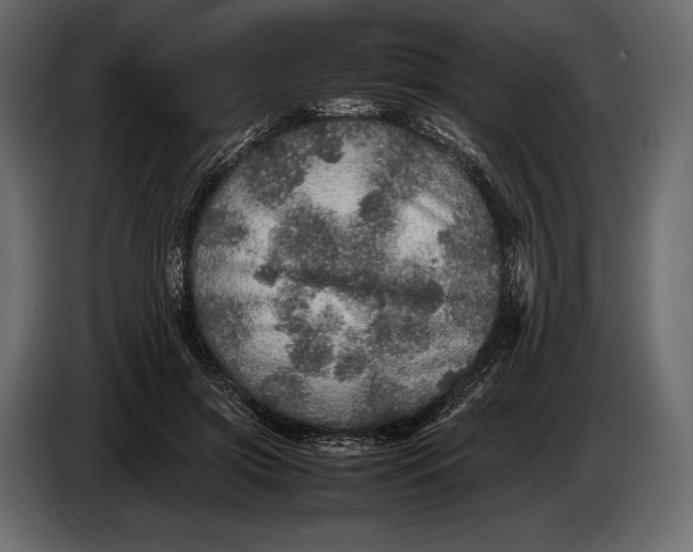 X0000087010549200705071528