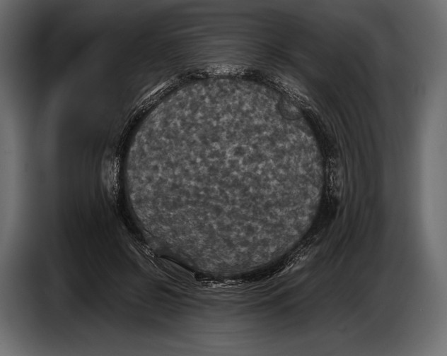 X0000087010550200705071528