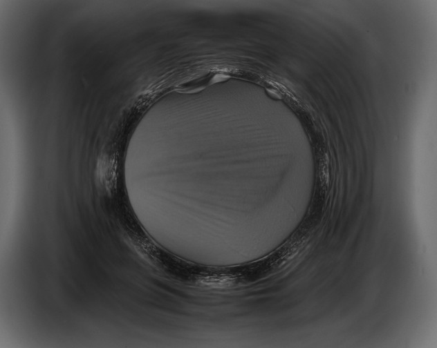 X0000087010551200705071528