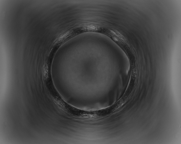 X0000087010552200705071528