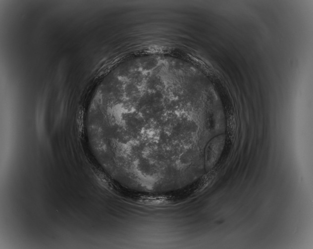 X0000087010554200705071528