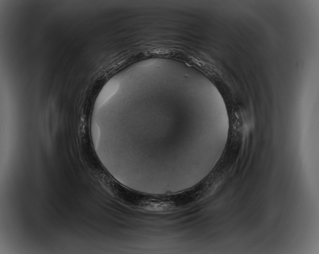 X0000087010555200705071528