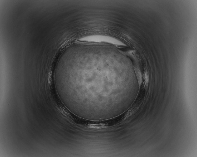 X0000087010556200705071528